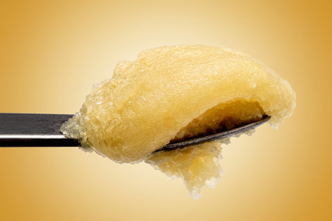 Honey Banana X Rubikz 119-90u THCa Concentrate | Deez Treez